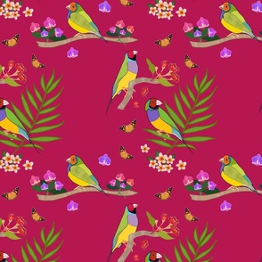 Gouldian Finch, Family #1 - boysenberry pink, medium 