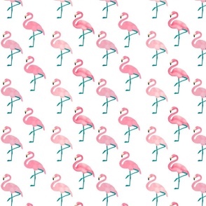 Let's Flamingle!-White,Small