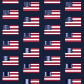 American Flag navy