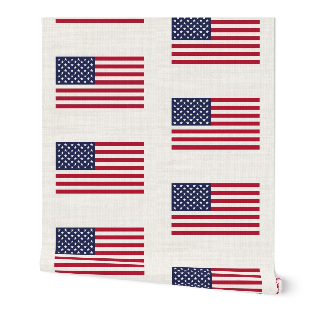 American Flag white
