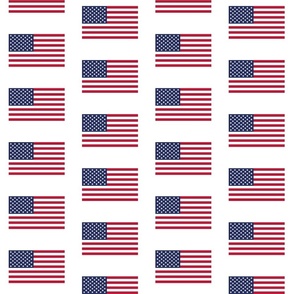 American Flag white