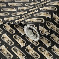 Euphonium on black - small scale