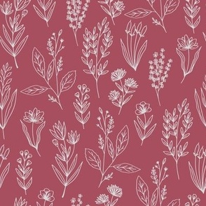  Warm herbs // red background // small scale