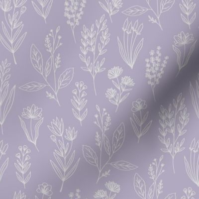 violeta herbs // violet background // small scale