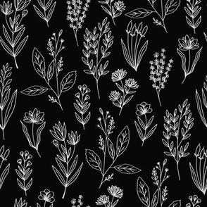 Elegant herbs // black background // small scale 