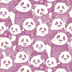 just panda bears berry natural small