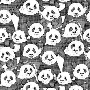 just panda bears black white small