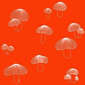 mushrooms