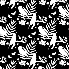 Gouldian Finch, Love Birds - white silhouettes on black, medium 