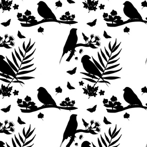 Gouldian Finch, Family #1 - black silhouettes on white, medium 