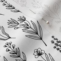 Simple herbs  // Normal Scale // White Background // Black White // Monochrome Vibe // Botanical // Nature Lovers