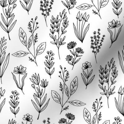 Simple herbs  // Normal Scale // White Background // Black White // Monochrome Vibe // Botanical // Nature Lovers