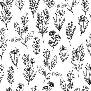 Simple herbs  // Normal Scale // White Background // Black White // Monochrome Vibe // Botanical // Nature Lovers