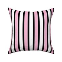 Jumbo Stripe of Rondeletia Pink and White with Narrow Ribbons of Black