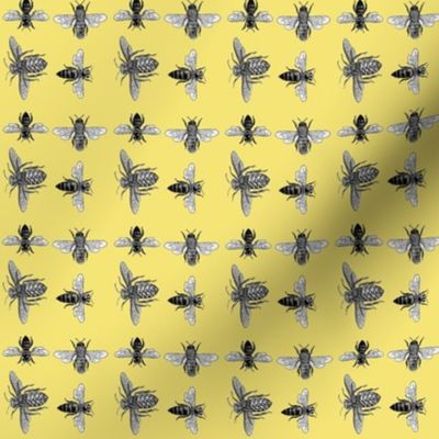 Mini  Honey Bees, Black and White Vintage Insects on Buttery Yellow