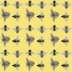 Mini  Honey Bees, Black and White Vintage Insects on Buttery Yellow