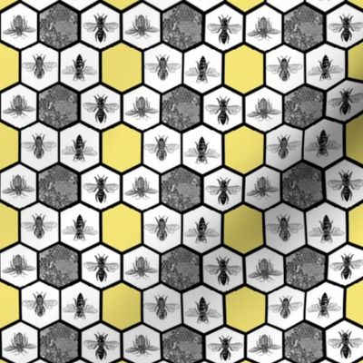 Black and Yellow Honeybee Beehive Hexagon