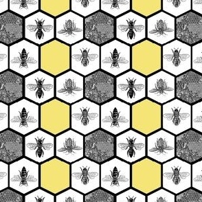 Black and Yellow Honeybee Beehive Hexagon