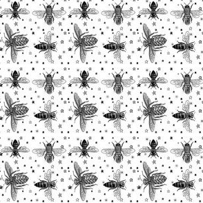 Black and White Honeybees and Stars