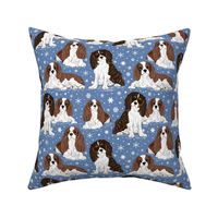 Cavalier King Charles Spaniel with snowflakes 8x8