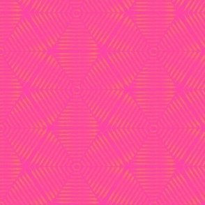 Squiggle Hexagon-Blender-Hot Pink-Papaya-Vibrant Spring Palette