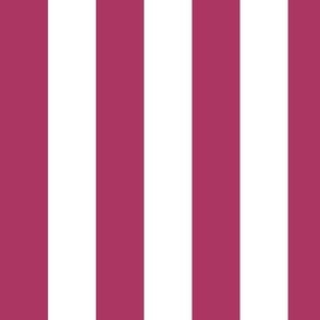Large Vertical Awning Stripe Pattern - Gypsy Pink and White
