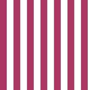 Vertical Awning Stripe Pattern - Gypsy Pink and White