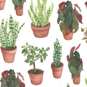 Watercolor Foliage Houseplants