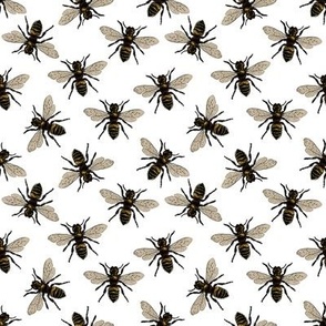 Honey Bee Pattern No. 3 | Bees | Bee Patterns | Honey Bees | Vintage Bees |