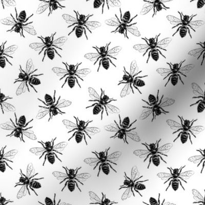 Honey Bee Pattern No. 4 | Bees | Bee Patterns | Honey Bees | Black and White | Vintage Style