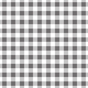 Grey and White Gingham Pattern | Gingham Patterns | Plaid Patterns | Chequered Patterns | Checked Patterns | Check Patterns | Classic Patterns | 