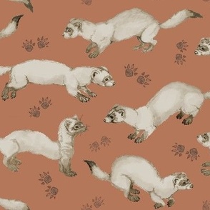 Black Footed Ferrets Have Fun