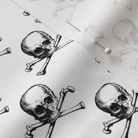 Skull and Crossbones | Jolly Roger | Pirate Flag | Deaths Head | Black and White | Skulls and Skeletons | Vintage Skulls |