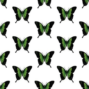 Green Butterfly | Vintage Butterfly | Green and Black |