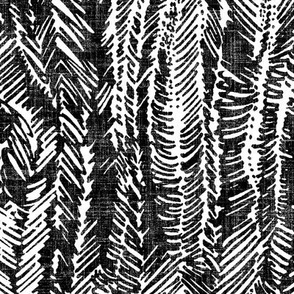  medium sketch line in black and white 