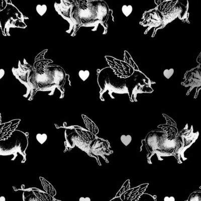 Vintage Flying Pigs | Black and White |