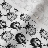 Ladybug Pattern | Black and White | Vintage Ladybugs |