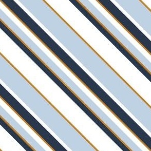 Cozy Complex Diagonal Stripes 