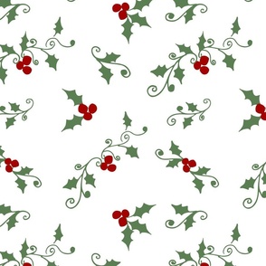 Holly Berries on White