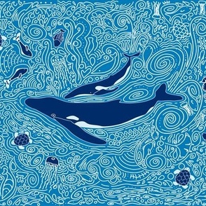 Blue whales 