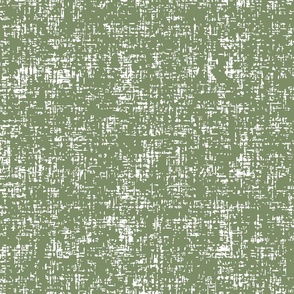 Sage Green worn fabric texture solid