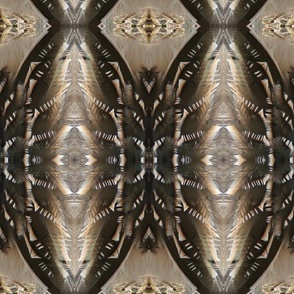 JG ROADRUNNER FEATHER ABSTRACT 9