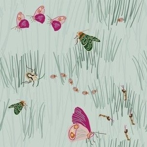 Butterflies & Bugs