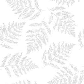 pale grey ferns on white