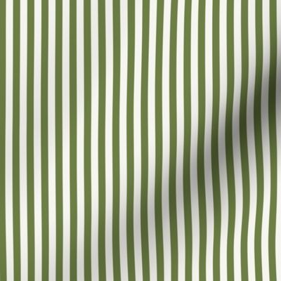 *Candy Stripe Olive On White Dove