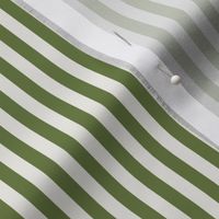 *Candy Stripe Olive On White Dove