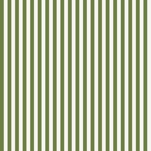 *Candy Stripe Olive On White Dove
