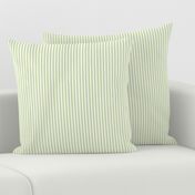 *Candy Stripe Fresh Green On White Dove