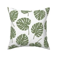 Monstera Sage green white