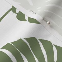 Monstera Sage green white